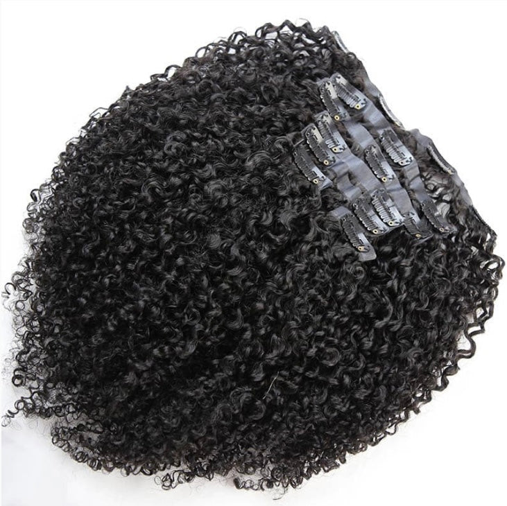 RAW Indian Coily Clip-ins