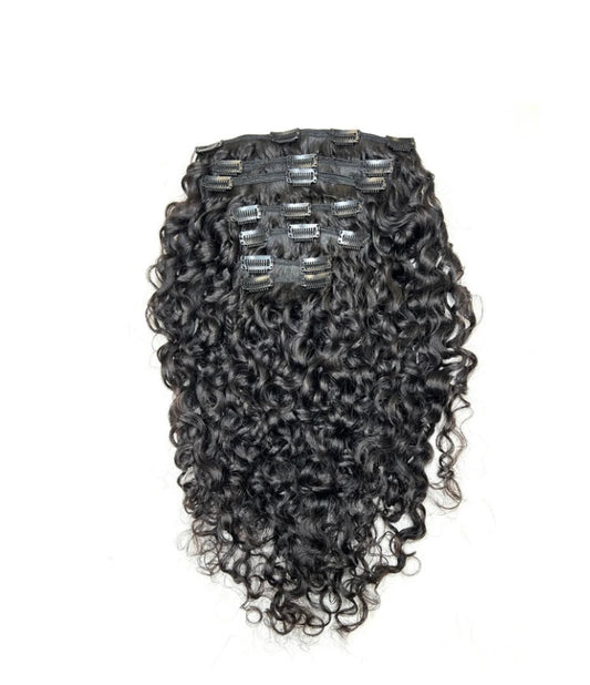 RAW Indian Curly Clip-ins